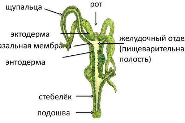 Кракен сайт ссылка kr2web in