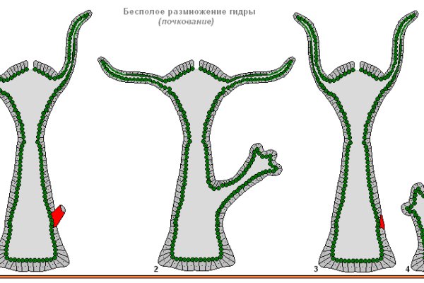 Найти ссылку кракен