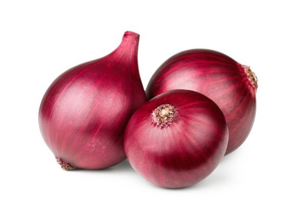 Kraken darknet onion